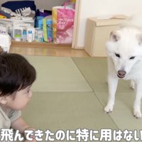 「よんだだけ…？」