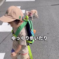 モンくんに合わせて…