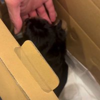 ご家族に可愛いご挨拶♡