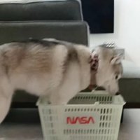 当然のようにチェックイン