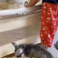 「さくくんが泣いてる！」