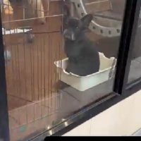 幼稚園のお迎えでは…