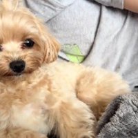 お父さんのそばで起床