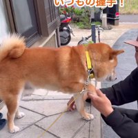 愛があふれるおいも君