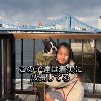 ハグをする犬と女の子