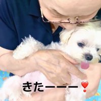 犬を抱き上げるおばあちゃん