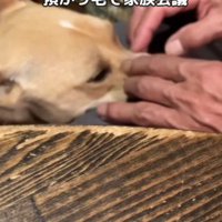 ボランティアさんと会議