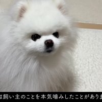 とっても優しいマヨちゃんでした♡