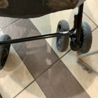 愛犬と一緒に市役所へ