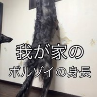 身長が高すぎる…！！