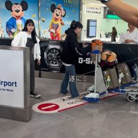 待ちに待った帰国の日