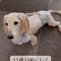 車椅子に挑戦する琥珀くん