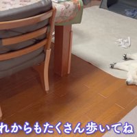 たくさん歩こうね♪