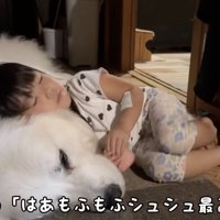 願わくばずっと一緒に