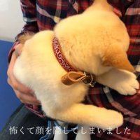 診察後は隠れてしまいました！