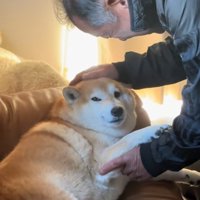 飼い主さんを見るるるちゃん