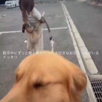 「やっぱりお兄ちゃんだ～」