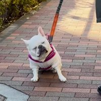 「気のせいか…」