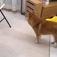 どんどん近づいてくる…！