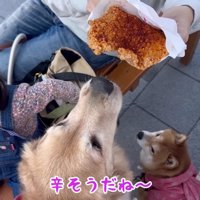 公園に寄ってランチタイム