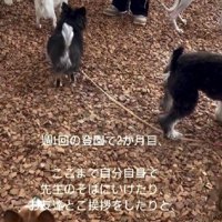 幼稚園に通うようになると…