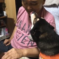 おじいちゃんの顔を舐める黒柴