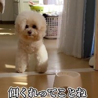 「期待した私が悪かった…」