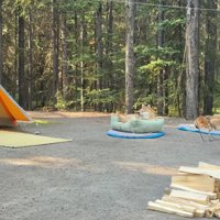 テントも張って快適な空間に