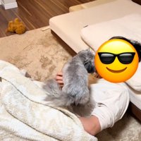 パパを舐めるピーターくん