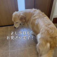朝の一仕事が終わりました