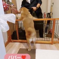 「会いたかったぁぁ」