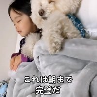 これなら大丈夫だね