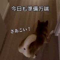 お姉ちゃんを熱烈歓迎するけいちゃん2