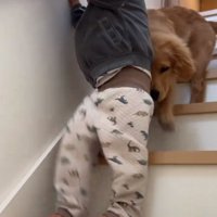 見守るころもちゃん