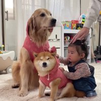 みんなで浅草へおでかけ