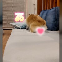 最後にまさかのハプニング発生