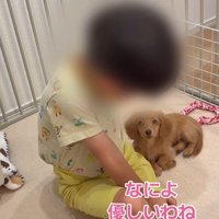「もういいの？」