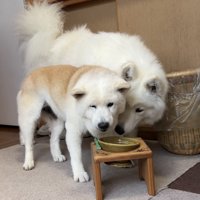 仲良し