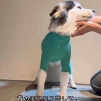 顔周りを整えたら…