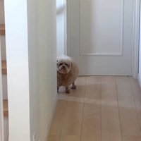 ちらっとのぞく…