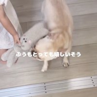 エンジョイ！