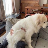 表情も赤ちゃんみたい♪