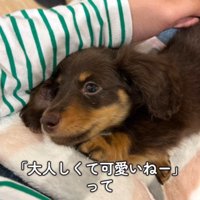 うにくんのお迎え前後のギャップ2