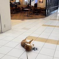 怒る茶々麻呂之介くん