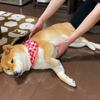 お兄ちゃんが抱っこしようとしたら…