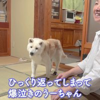 赤ちゃんが泣いちゃった！！