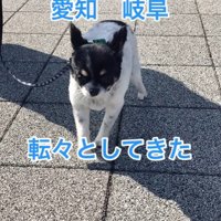ちーちゃんとの出会い2