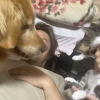 チェック、終了。