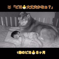 「ちゃんと眠れてるかな？」
