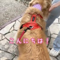 3人目に撫でられる犬